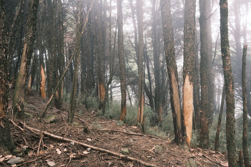 2023.09 神池小關山_2305263