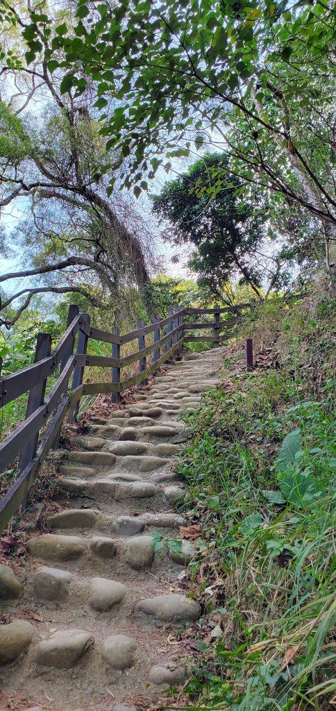 2023-02-19清水岩中央嶺造林步道、十八彎古道_2037842