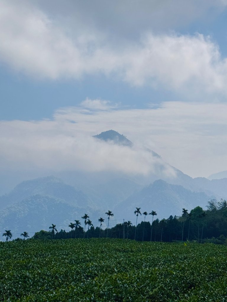 鳳凰谷步道走凍頂麒麟山_2770444