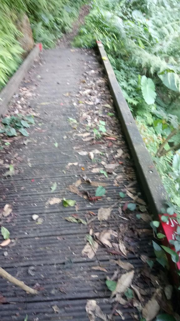 南澳古道及東澳粉鳥林一日遊_291196