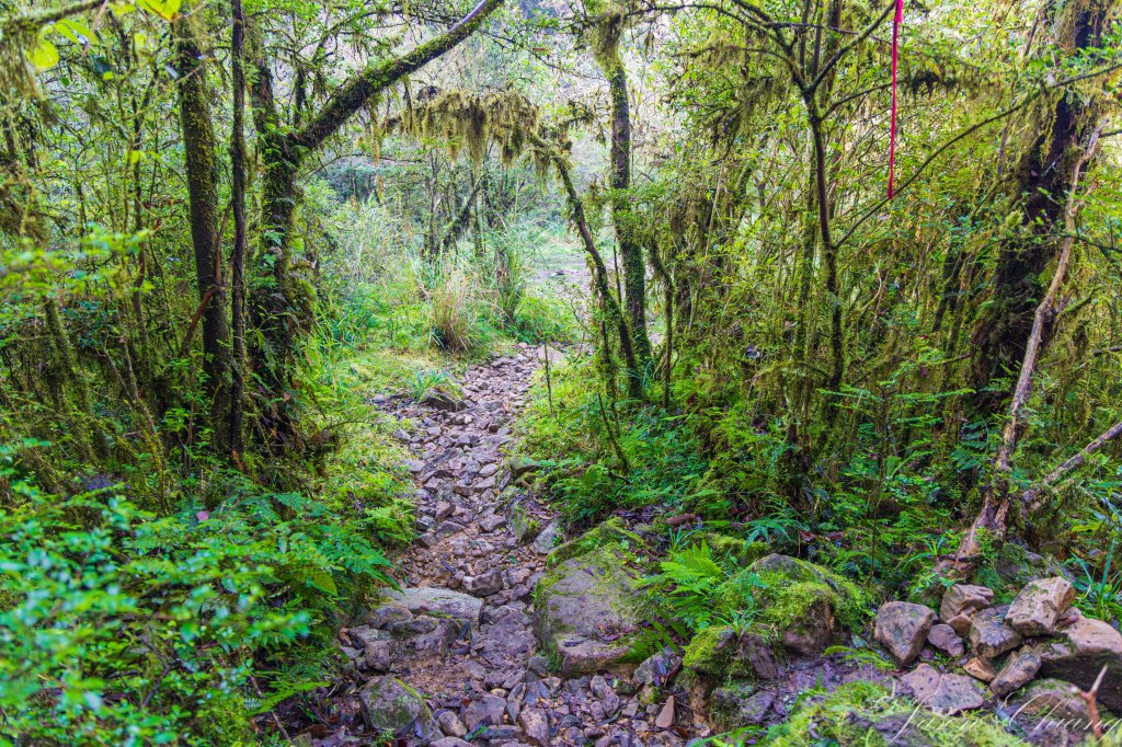 [宜蘭]松蘿湖_2663006