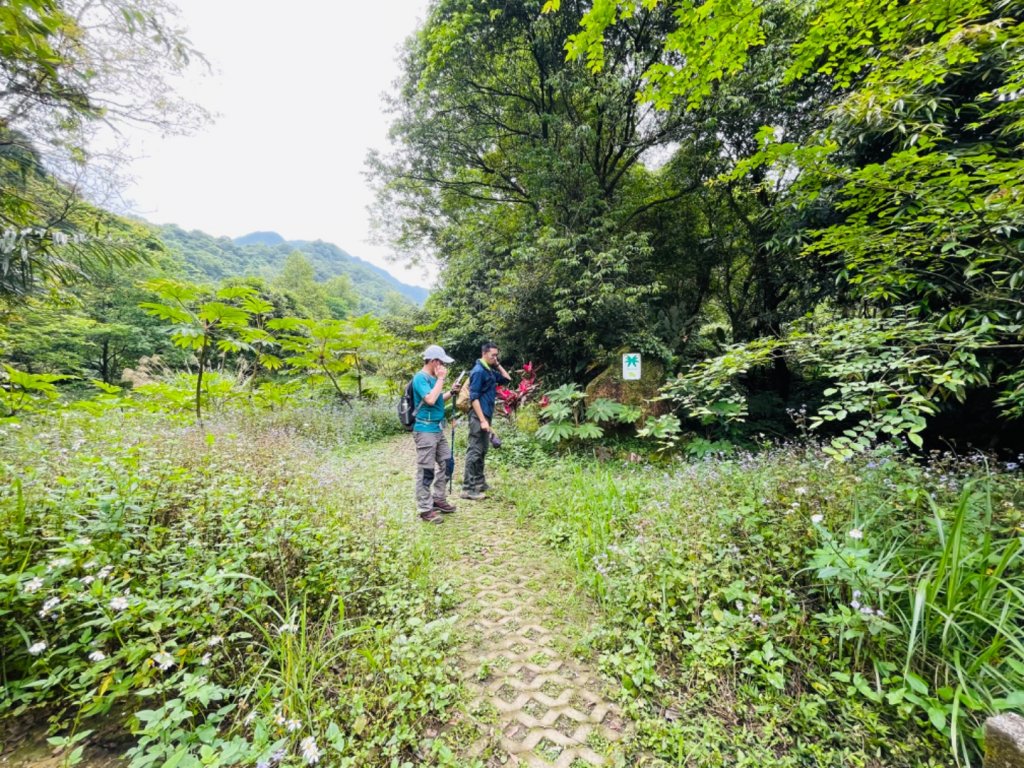淡蘭中路（暖暖車站-十分車站）_1685459