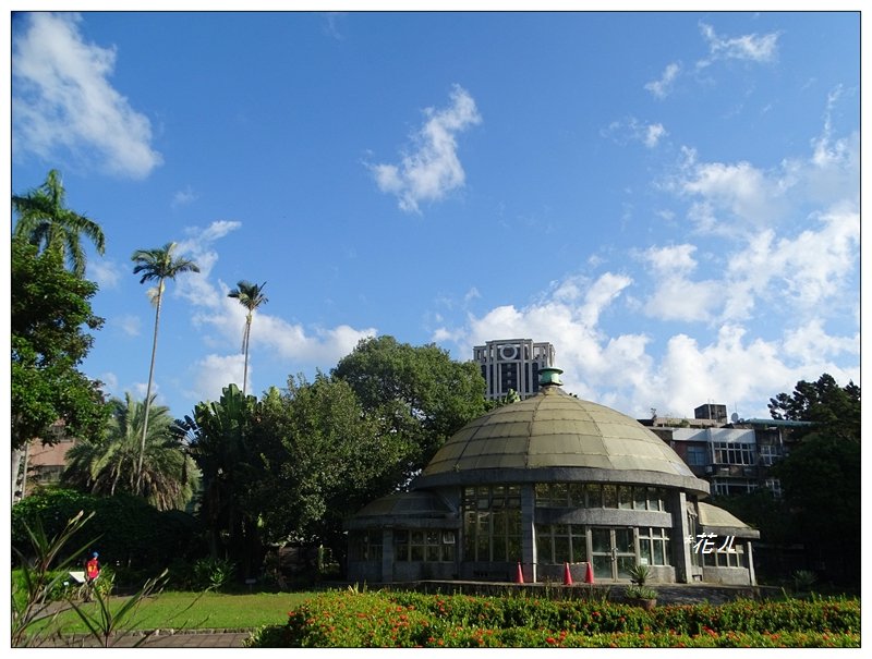 台北/植物園步道封面圖