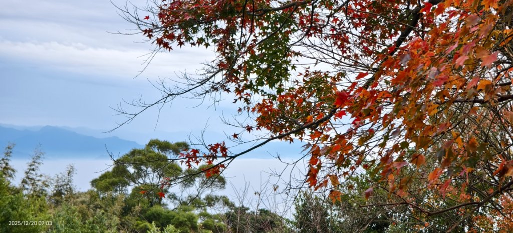 陽明山趴趴走追雲趣 #雲海 #雲瀑 #火燒雲 12/20 考考大家，認得幾個拍照取景地點共15個_2966187