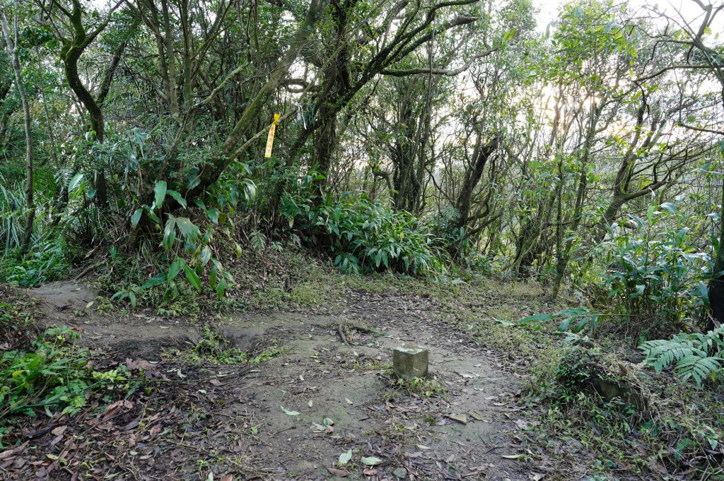 臺北 士林 香對山、頂山、杏林山、北五指山、高頂山、北頂山、馬蕃山、頂山溪山、五指山_2703235