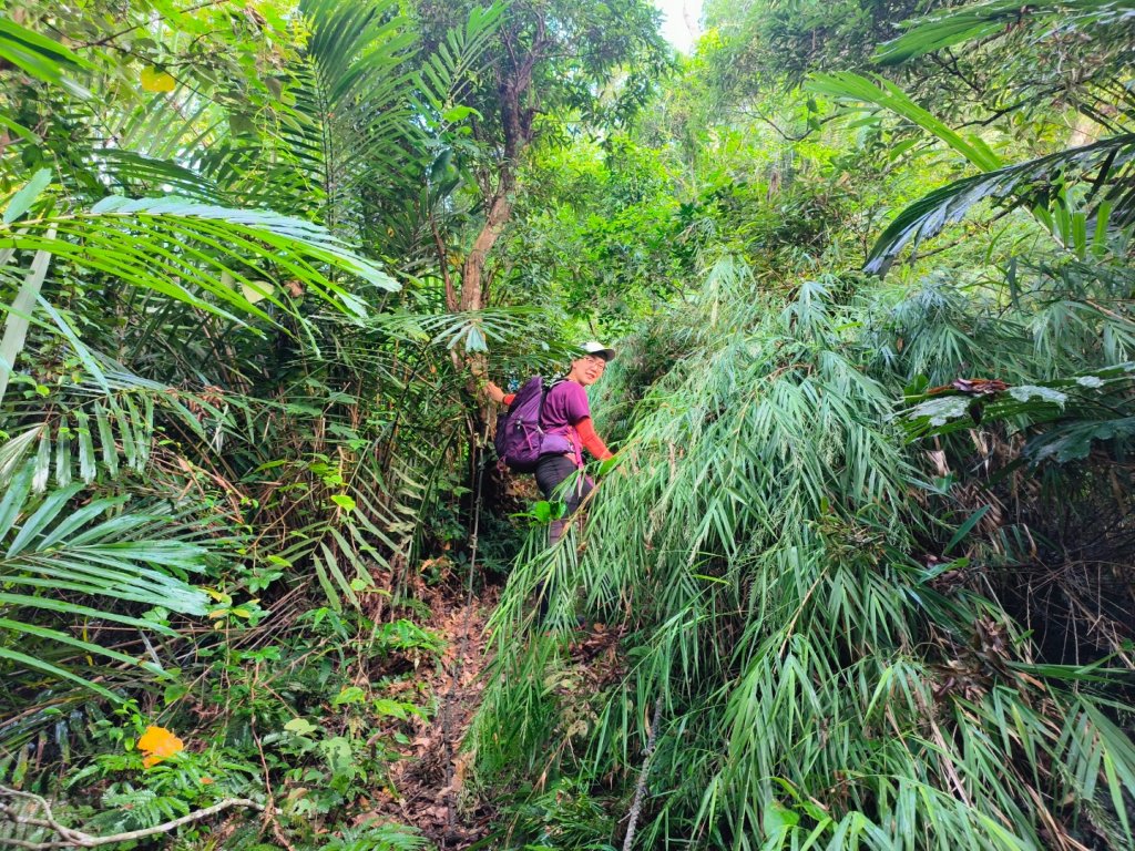 1120917 高石縱走_2284800