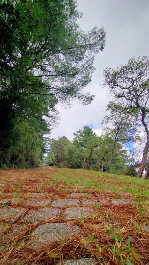 石水山 真鹿林山 鹿林天文台_1492537