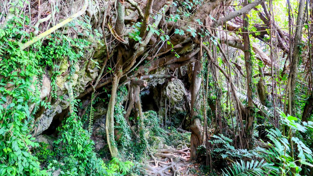 左營半屏山_2954351