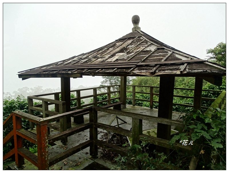 古坑/雲嘉大尖山_720568