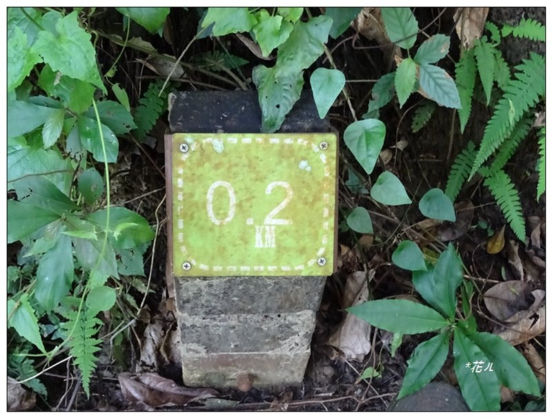 蝙蝠洞延伸步道_1636427