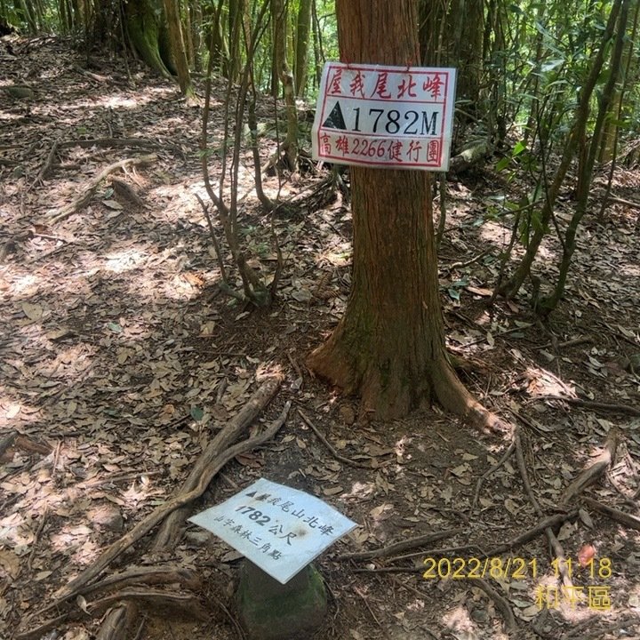 2022/08/21谷關七雄老三-屋我尾山(大雪山林道下)封面圖