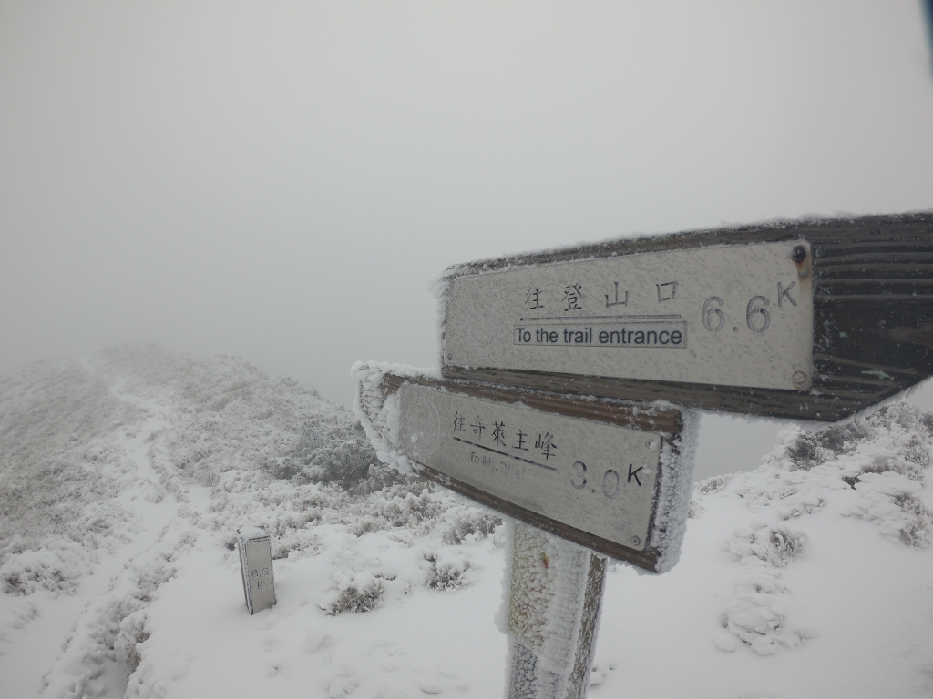 雪攀奇萊封面圖