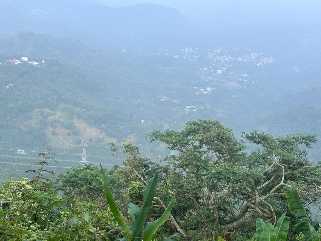 063台南白河大凍山_2652513