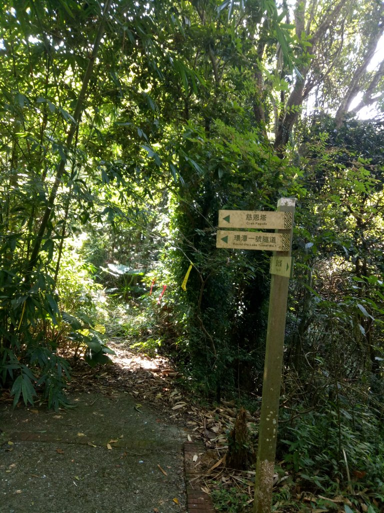 日月潭頭後雨(頭社山、後尖山、雨社山)縱走_1851354