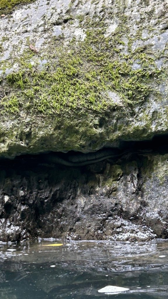 烏來卡拉莫基_2972117