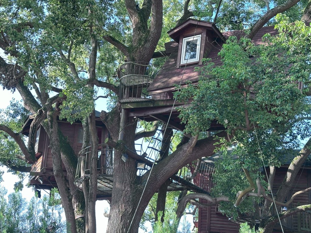 草尾嶺步道看血藤花_2749003