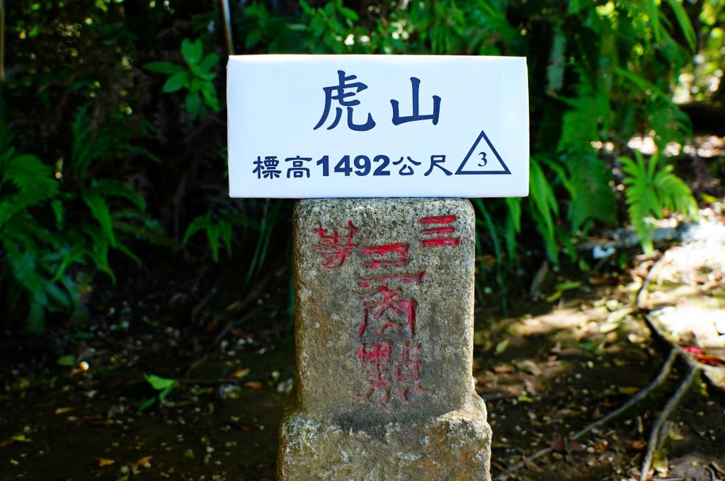 苗栗 泰安 虎山封面圖