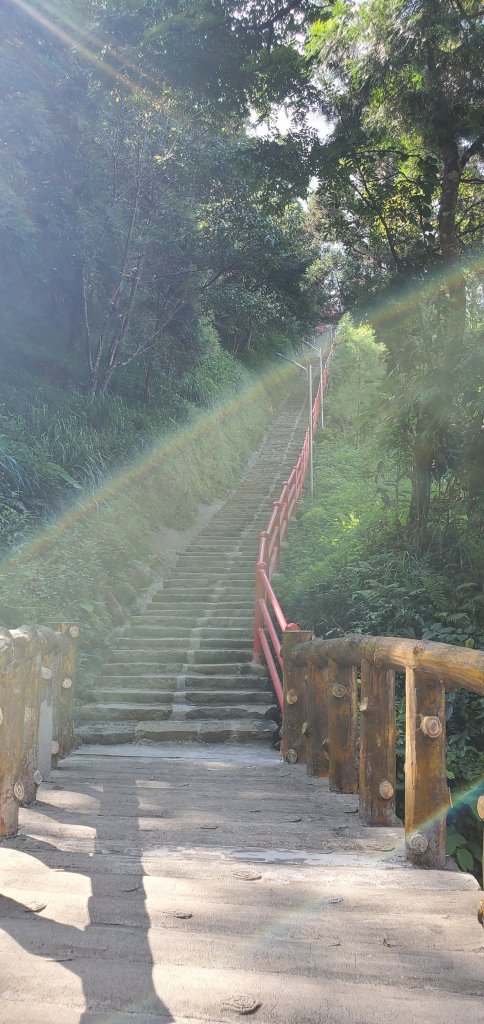 2021-08-21仙山登山步道_1442766