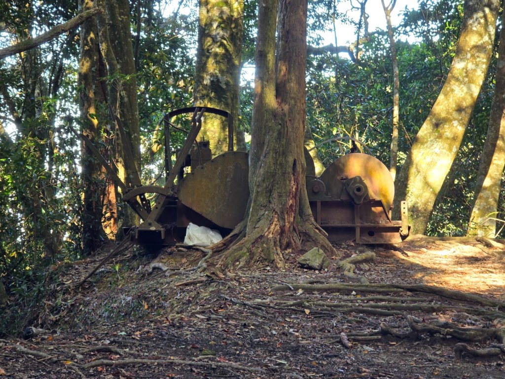 加里山（大坪登山口大O繞）_2955444