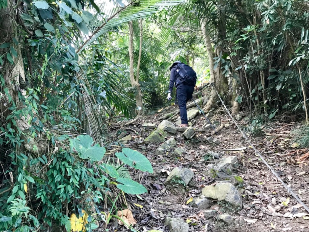 烏山步道走刣牛湖山_468628