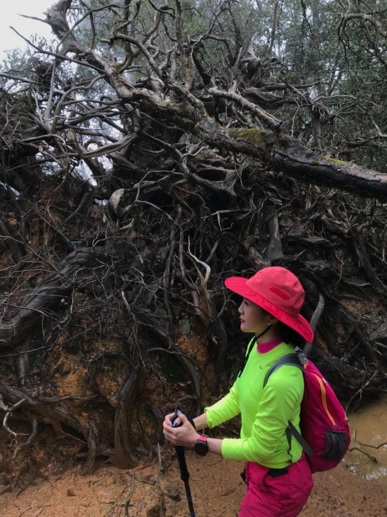 1070317 塔魔巴縱走_290456