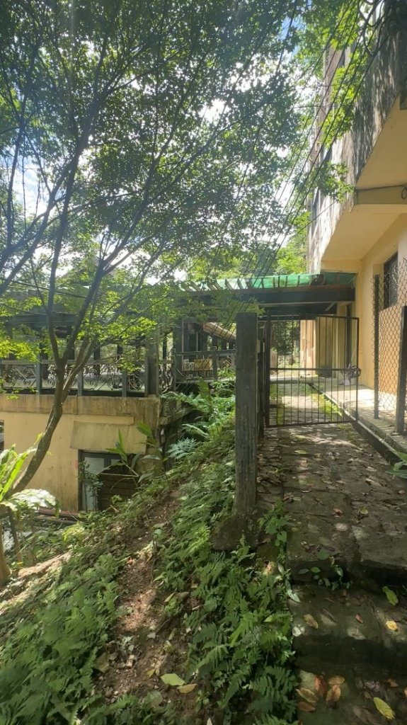 新竹橫山-騎龍古道_2613588