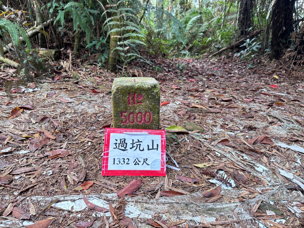 過坑山O型縱走_2450322