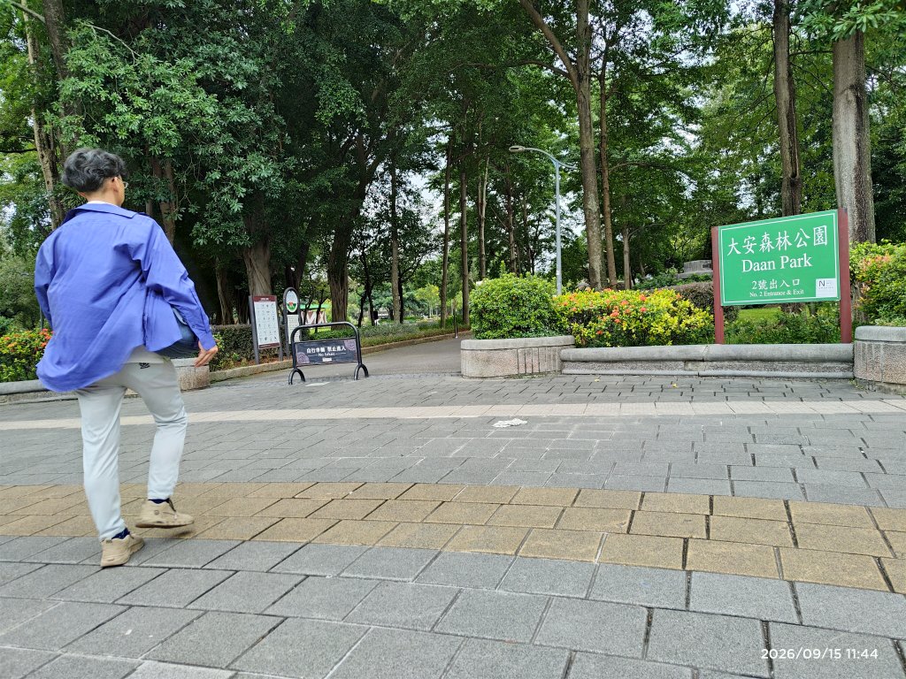 2026臺北健走趣大安森林公園202609151143封面圖