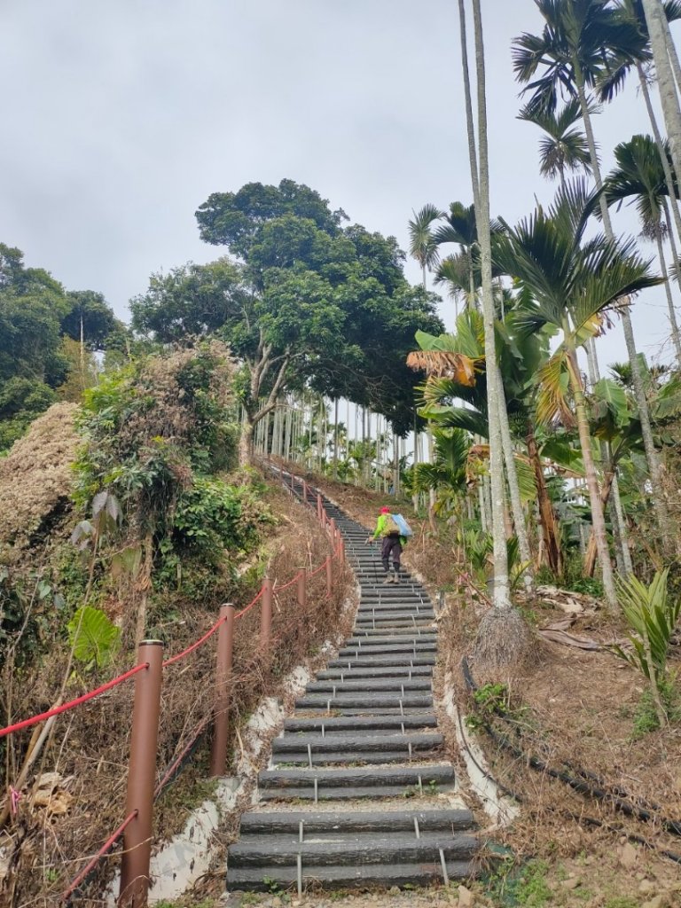 嘉義［阿拔泉山稜線步道］+太平雲梯_2235699