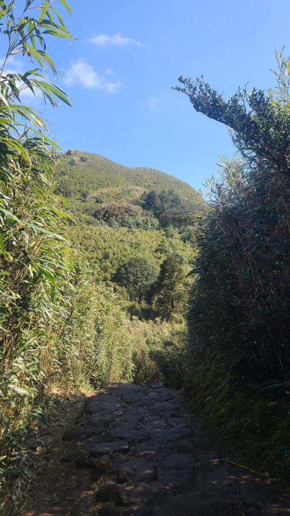 2026-0213 苗圃-凱達格蘭山-七星錐-七星山南峰-小油坑-竹子湖-水車寮步道-湖田猴崁步道-_3005694