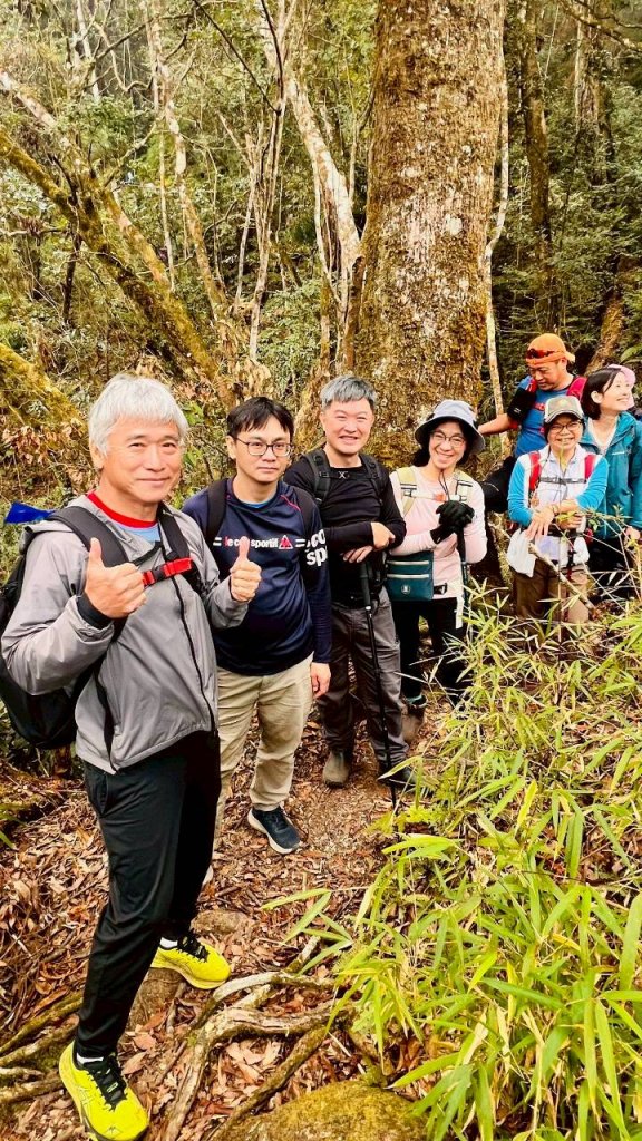 🌈1/18（日）忘憂森林×金柑樹山×溪頭天文台✨FB：熊熊趴爬走🌈_2983972