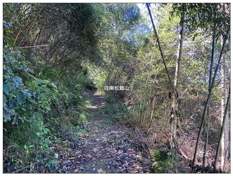 南松鶴山～八仙山 (台中 和平)_2926067