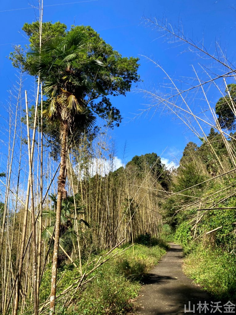 2023-10-29 頂湖直上大凍山_2330896