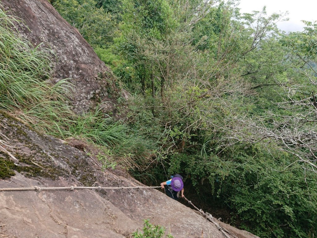 哈加縱走（哈堪尼山、加里山）_1051388