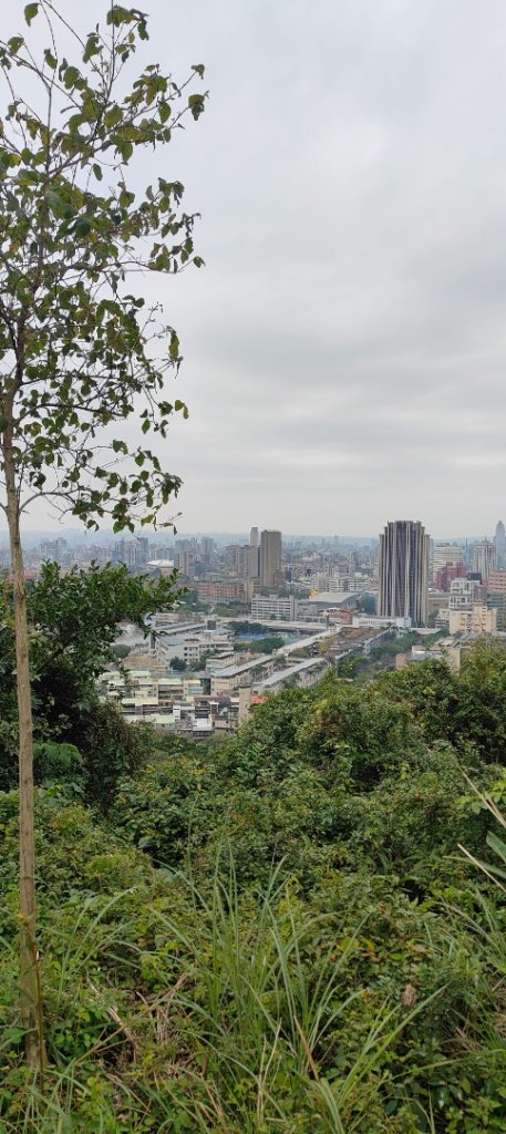 福州山公園_3002499