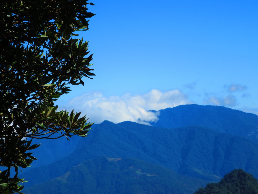 【新竹尖石】還記得北得拉曼山 這一季黃金山毛櫸的璀璨_1183416