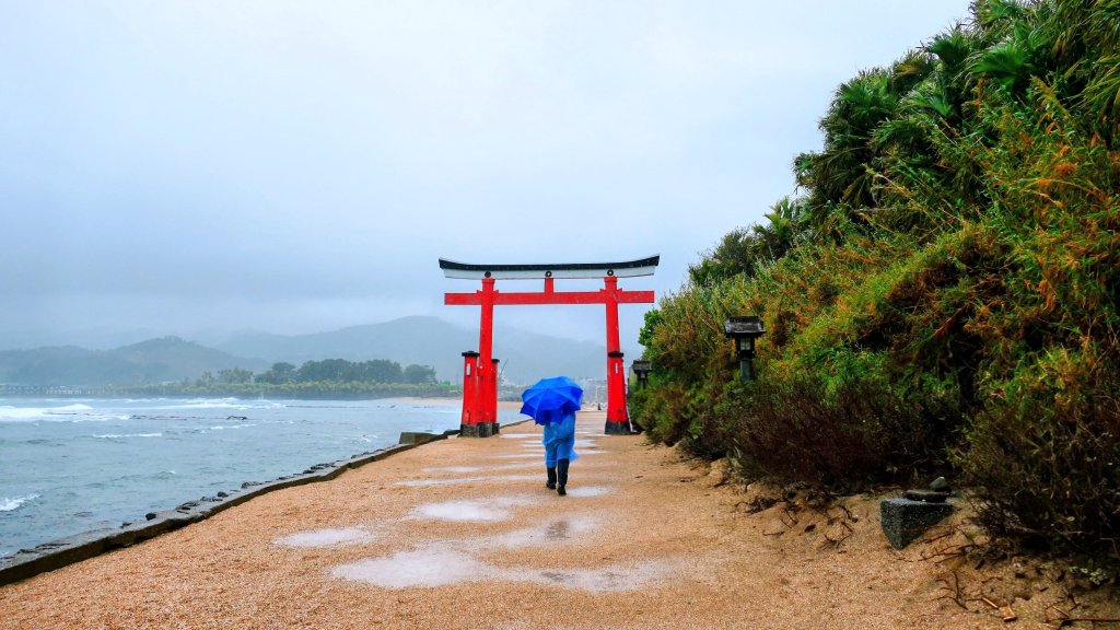 宮崎青島,母智丘,桷志田,櫻島,渡輪封面圖