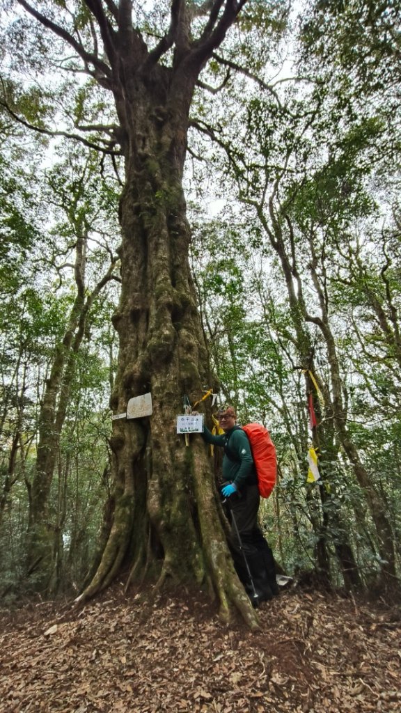 李棟山泰平山走春20250131_2706969