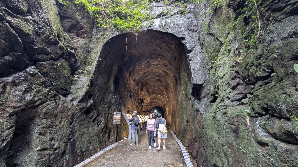 114.12.20劉銘傳隧道-獅球嶺北峰-獅球嶺東砲台山-獅球嶺池-獅球嶺砲台山之旅_2966684