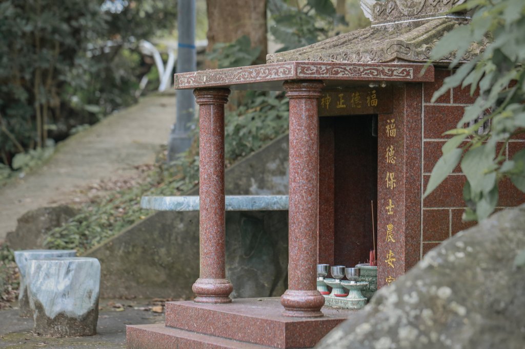 遇見淡水版花園鰻 - 半嶺水圳步道上游段 & 松溪瀑布_2651168