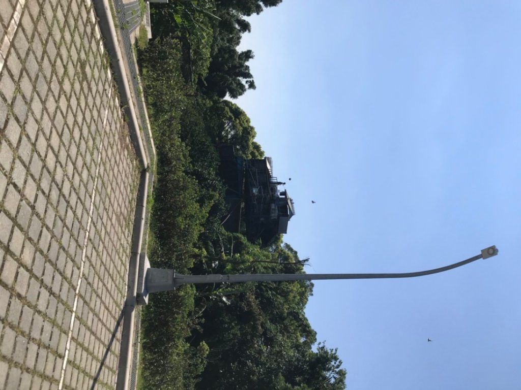 2023新北市新莊區青年公園步道、樟腦寮步道上林口A7_2209709