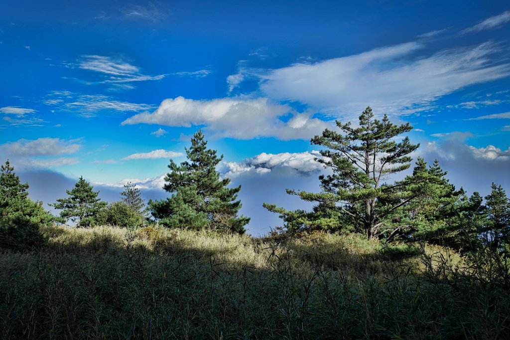 桃山&武陵農場_631861