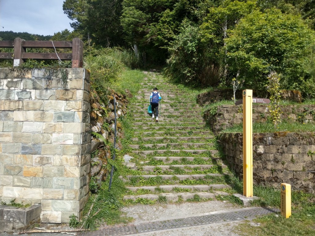 高雄/花蓮/台東-嘉明湖-向陽山-三叉山封面圖