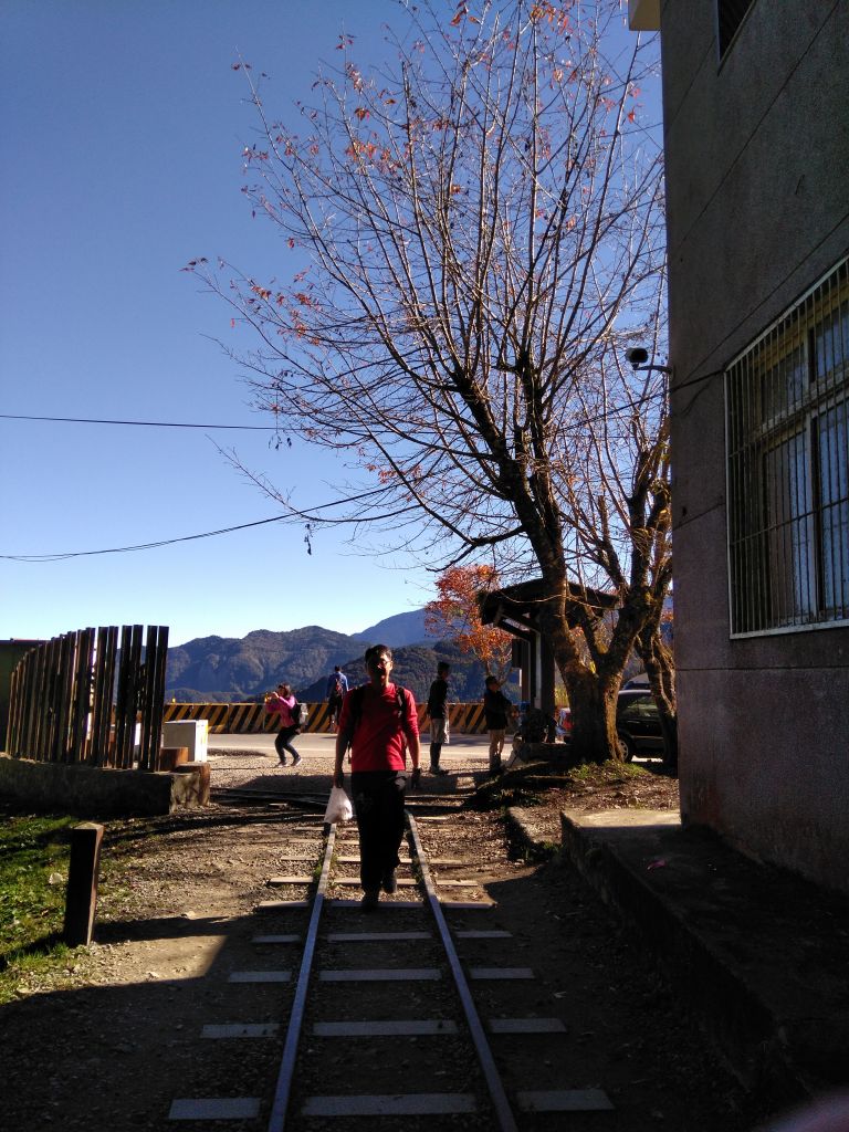 1061223特富野古道+麟趾山_229521