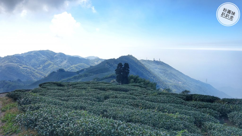 阿里山山脈越嶺步道大串走D2_543672