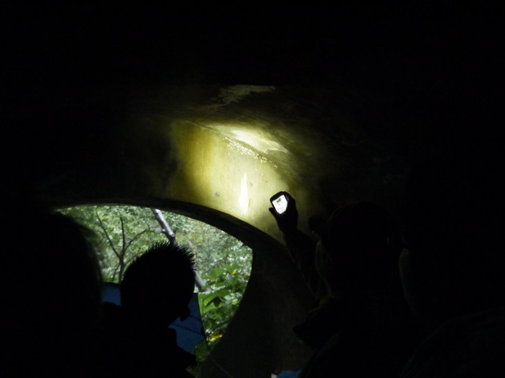 2013.12.14 富陽自然生態步道_674005