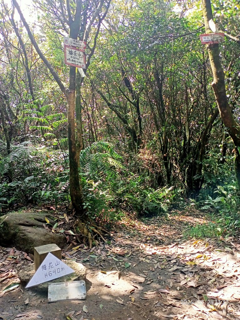 【臺北大縱走4】風櫃嘴→雙溪溝古道→五指山古道→大崙頭山北面步道→許願步道→圓覺寺步道→大溝溪→大湖_2469090
