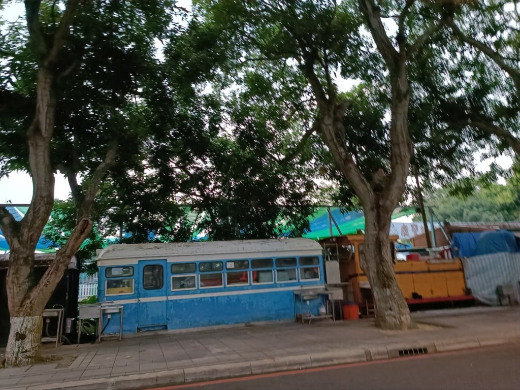 南山神壽任務-雲林古坑綠色隧道_1859335