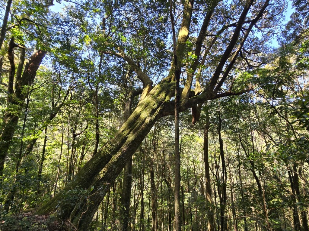 哈堪尼山_2761948