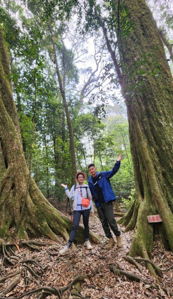 【中級山縱走】最美中級山，鳶嘴西稜縱走（鳶嘴山，醜崠山，長壽山）_2741406